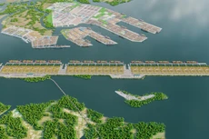 Đấu thầu minh bạch lựa chọn nhà đầu tư Dự án Cảng trung chuyển quốc tế Cần Giờ