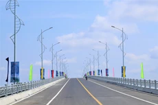 Ảnh chỉ mang tính minh họa. Nguồn Internet