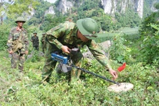 Các trường hợp được điều chỉnh dự án vốn đầu tư công