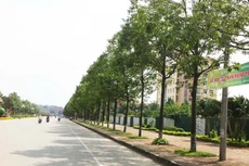 Gói thầu: Gói thầu số 01 Thi công chăm sóc, bảo dưỡng cây xanh