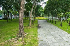 Gói thầu: Gói thầu số 06 Dịch vụ công ích lĩnh vực thoát nước đô thị, công viên cây xanh, đèn tín hiệu giao thông, bảo trì đèn chiếu sáng đô thị