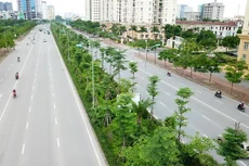 Gói thầu: Chăm sóc, duy trì hệ thống cây xanh đã trồng trên đường Võ Chí Công (ĐT.619) giai đoạn 03 năm (từ năm 2025)