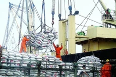 Ngành thống kê là ngành phải đi tiên phong trong việc hội nhập quốc tế