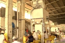 Trung Quốc vẫn là thị trường xuất khẩu gạo lớn nhất của Việt Nam