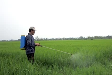 Ảnh chỉ mang tính minh họa (Nguồn: Internet)