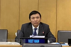 Đại sứ Đặng Đình Quý, Trưởng phái đoàn đại diện Việt Nam tại Liên hợp quốc, phát biểu tại hội nghị. Ảnh: TTXVN