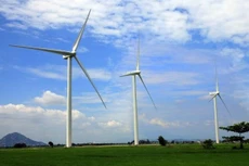 Ảnh chỉ mang tính minh họa. Nguồn Internet