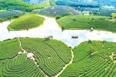 Ảnh chỉ mang tính minh họa. Nguồn Internet