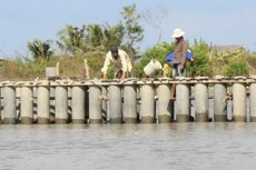 HSMT yêu cầu nhà thầu có 1 hợp đồng tương tự kè bảo vệ bờ sông tại khu vực Đồng bằng sông Cửu Long. Ảnh chỉ mang tính minh họa. Nguồn Internet