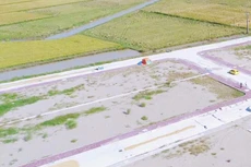 Ảnh chỉ mang tính minh họa. Nguồn Internet