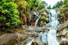 Ảnh chỉ mang tính minh họa. Nguồn Internet