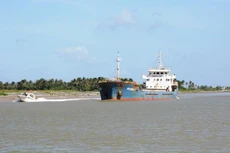 Ảnh chỉ mang tính minh họa. Nguồn Internet