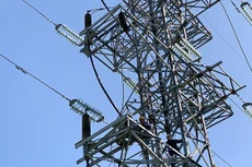 Ảnh chỉ mang tính minh họa. Nguồn Internet