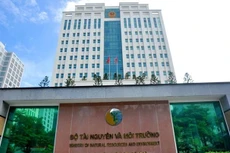 Ảnh chỉ mang tính minh họa. Nguồn Internet