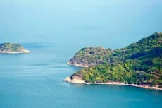 Ảnh chỉ mang tính minh họa. Nguồn Internet