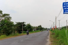 Ảnh chỉ mang tính minh họa. Nguồn Internet 