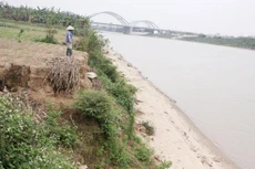 Ảnh chỉ mang tính minh họa. Nguồn Internet