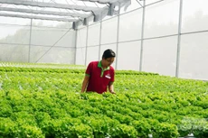 “Công viên dược phẩm” - lợi thế tạo phát triển đột phá cho Bỉm Sơn