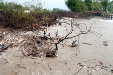 Bản tin thời sự sáng 22/5