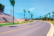 Ảnh chỉ mang tính minh họa. Nguồn Internet