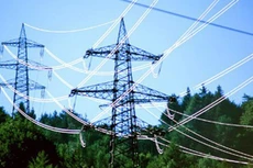 Ảnh chỉ mang tính minh họa. Nguồn Internet