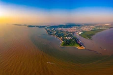 Ảnh chỉ mang tính minh họa. Nguồn Internet