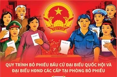 Quy trình bỏ phiếu bầu cử đại biểu Quốc hội và đại biểu HĐND các cấp