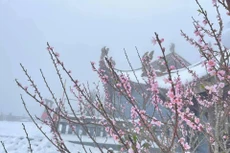 Bản tin thời sự sáng 12/2