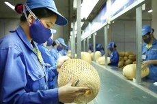 Ảnh chỉ mang tính minh họa. Nguồn Internet