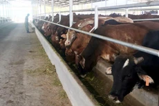 Ảnh chỉ mang tính minh họa. Nguồn Internet