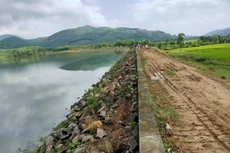 Ảnh chỉ mang tính minh họa. Nguồn Internet