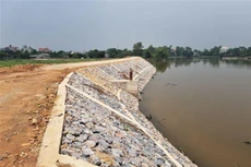 Ảnh chỉ mang tính minh họa. Nguồn Internet