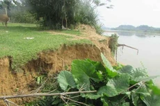 Ảnh chỉ mang tính minh họa. Nguồn Internet