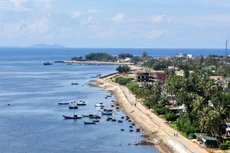 Ảnh chỉ mang tính minh họa. Nguồn Internet
