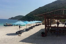 Ảnh chỉ mang tính minh họa. Nguồn Internet