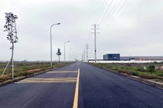 Ảnh chỉ mang tính minh họa. Nguồn Internet