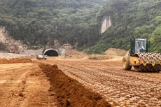 Ảnh chỉ mang tính minh họa. Nguồn Internet