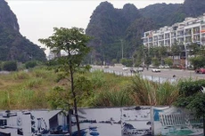 Loạt dự án bất động sản đưa ra đấu giá, đấu thầu rồi vẫn về chủ cũ