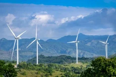 Ảnh chỉ mang tính minh họa. Nguồn Internet