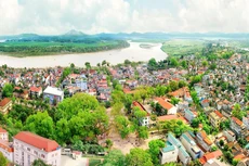 Ảnh chỉ mang tính minh họa. Nguồn Internet