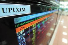12,5 triệu cổ phần Công ty CP Domenal sắp lên sàn UPCoM với mã chứng khoán DMN. Ảnh chỉ mang tính minh họa: Tường Lâm