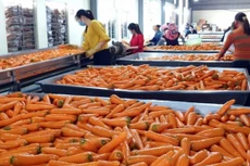 Ảnh chỉ mang tính minh họa. Nguồn Internet