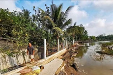 Ảnh chỉ mang tính minh họa. Nguồn Internet