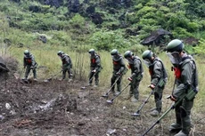 Ảnh chỉ mang tính minh họa. Nguồn Internet