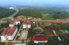 Ảnh chỉ mang tính minh họa. Nguồn Internet