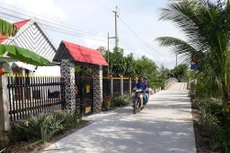 Ảnh chỉ mang tính minh họa. Nguồn Internet