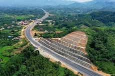 Bản tin thời sự sáng 14/8