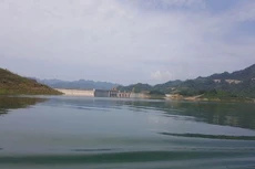 Ảnh chỉ mang tính minh họa. Nguồn Internet