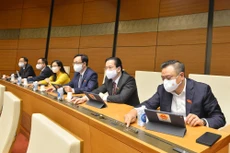 Các đại biểu nhấn nút biểu quyết