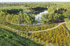 Phong độ ổn định, Vinamilk tiếp tục nằm trong Top 10 của 50 doanh nghiệp niêm yết tốt nhất 2021